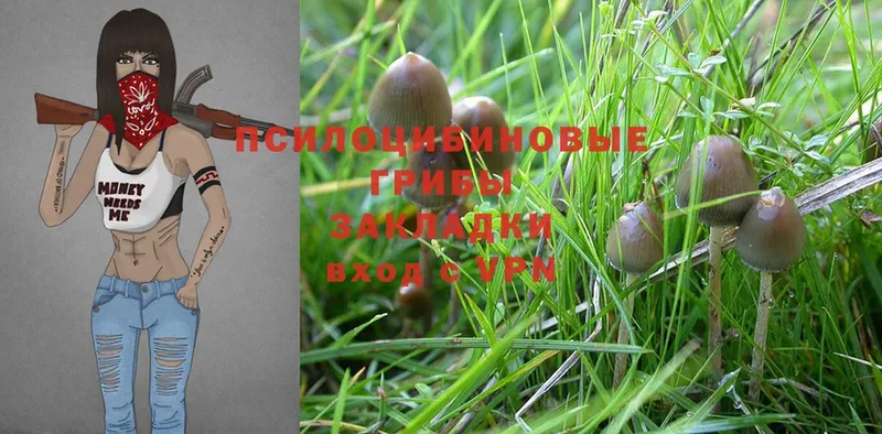 Псилоцибиновые грибы Psilocybine cubensis  цены   Нижняя Салда 